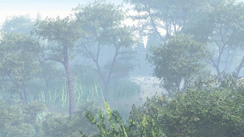 Foggy path to the lake by pimanjc
