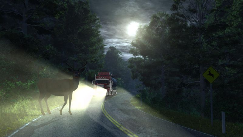 Forest view drive deer 4u by pimanjc
