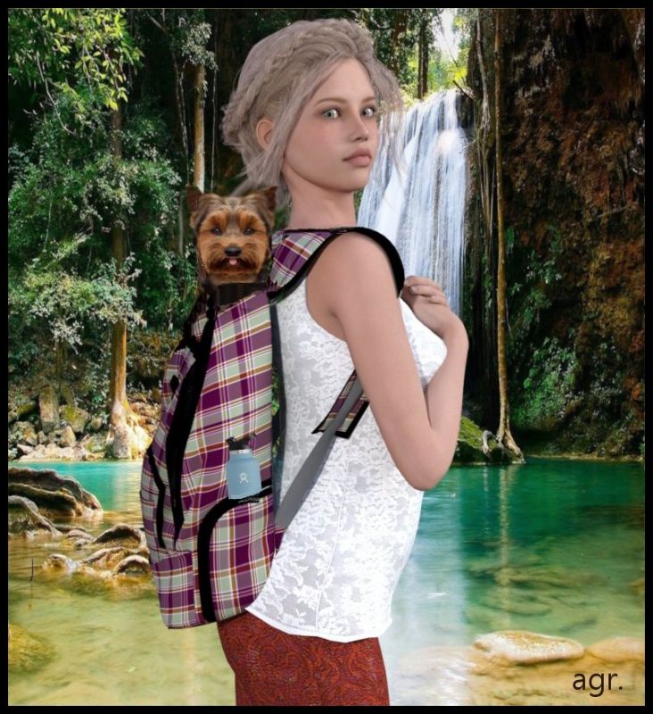 Walking on the hiking trail with the Terrier.
Genesis 2 female,  free backpack, rosity, dog yorkshire terrier free designed by Creazilla.com , bg pixelbay.
Keywords: walking , hiking, dog