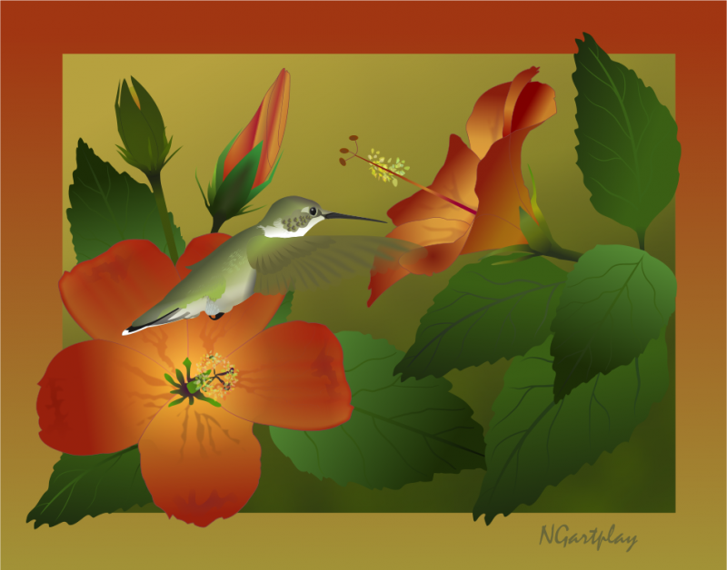 Hummingbird and Hibiscus
Didn't know where to put this because it is made in a 2D digital program.  It's kind of in between.

I made this in XaraXtreme.  
Keywords: Burpee 2D XaraXtreme