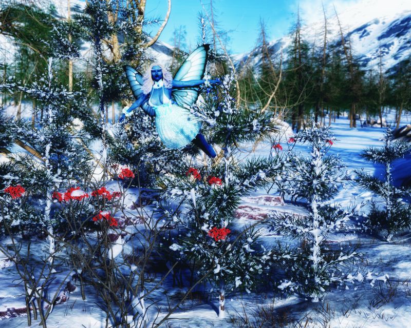 Welsh Blessed Snow Fae
Eirwen a Welsh Blessed Snow Fae! Rarely Seen outside Wales! o.O Has a Sister named Gwyneira.
