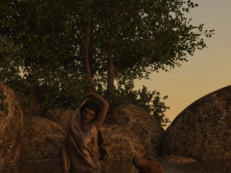 Selkies
Selkies are skinchanger fae, able to assume the form of a seal thanks to a chimerical sealskin.
