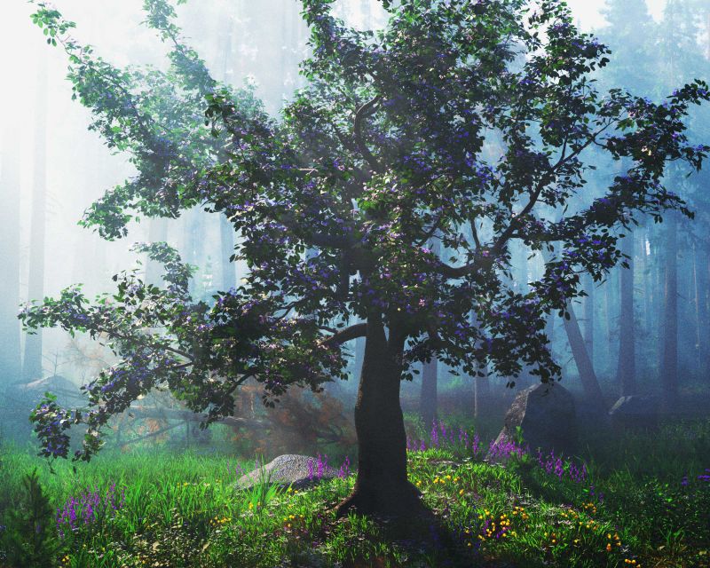 The Natural World - AC winner 12/24/31
The Natural World o.O Yep
