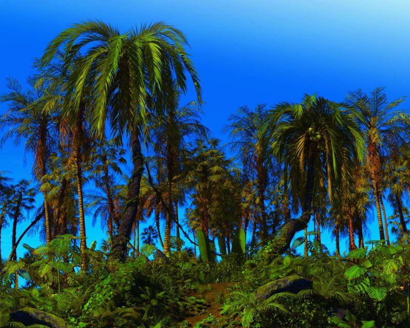 The Natural World Part 2 - AC winner 11/19/22
Yep o.o
