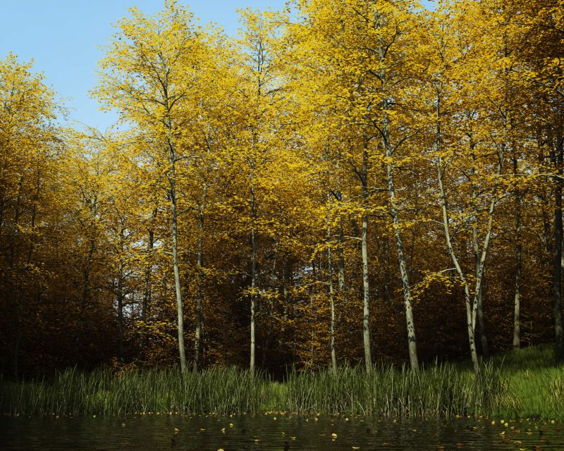 The Natural World Part 3 - AC winner 12/31/22
o.o Yep
