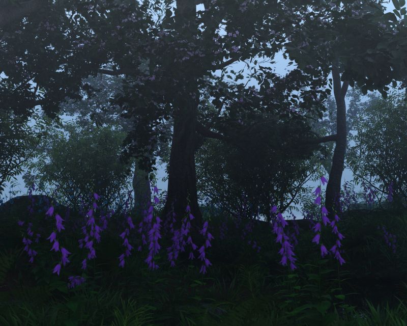 The Natural World Part 4
o.o
