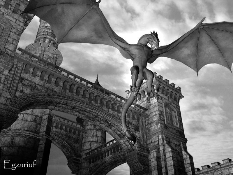 Fluffy - TOTW winner 08/23/25
