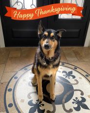 Filename=24fbp1414.jpg
Filesize=528KiB
Dimensions=1214x1508
Date added=Nov 27, 2025 24fbp1414.jpg