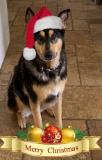 Filename=24fbp1440f.jpg
Filesize=390KiB
Dimensions=1044x1624
Date added=Dec 24, 2025 24fbp1440f.jpg