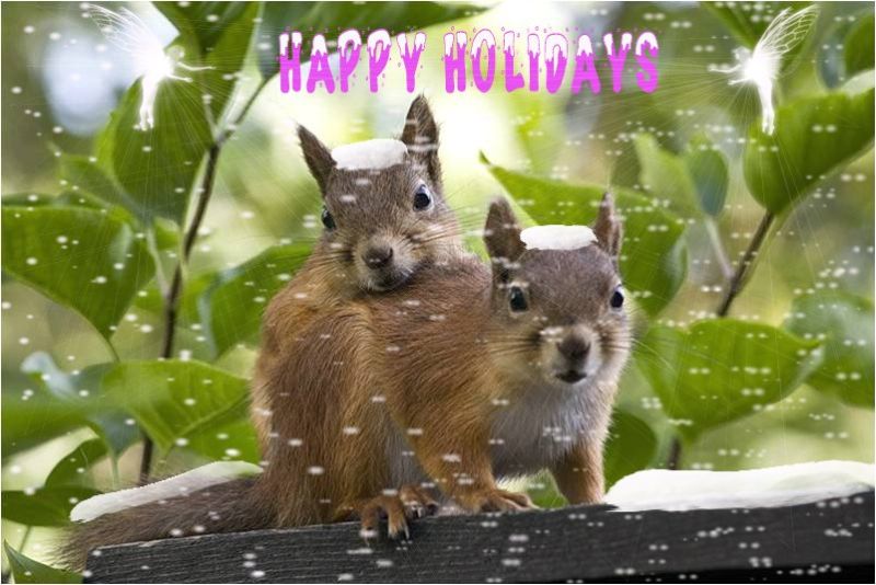 holiday
Merry Chrismas and a happy newyear to you al
hugs
Christ
