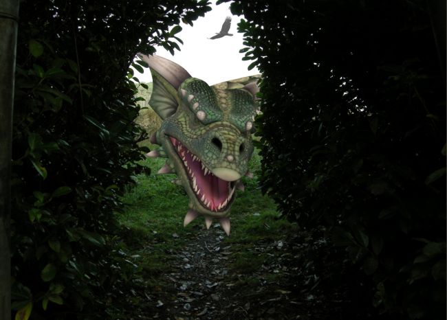 something here?
thanks for the peep and comment
