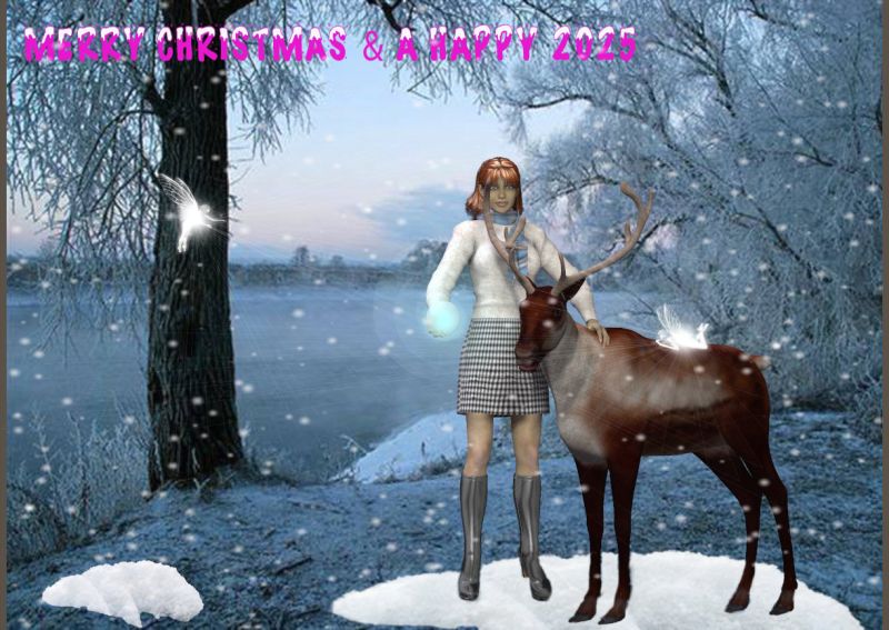 holiday
Merry christmas and a happy newyear
