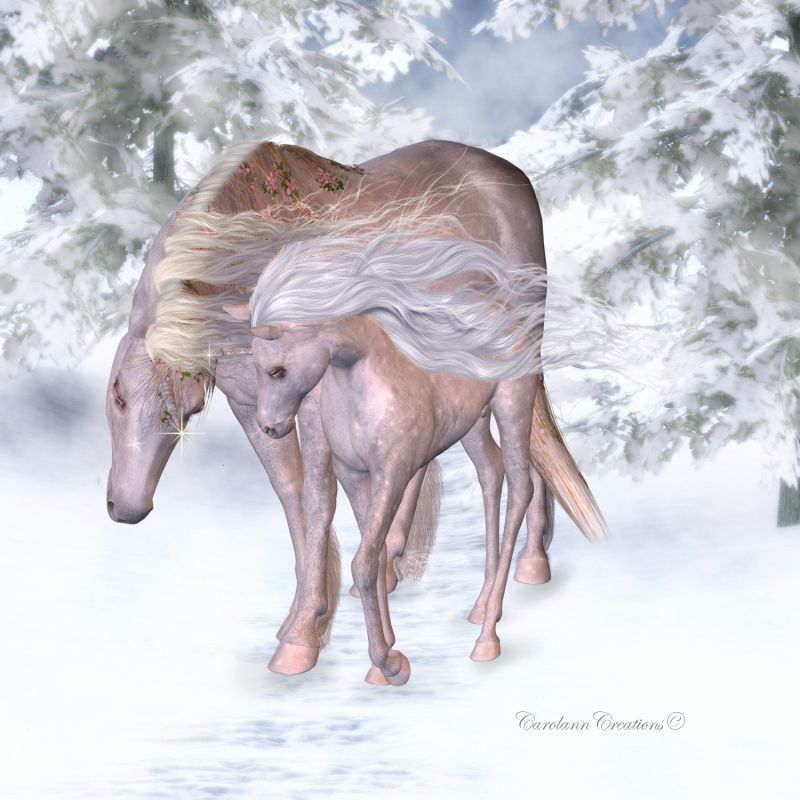 Mother and Foal
~TOTW Winner Wk of 9/11/21~
Keywords: TOTW Winner 9/11/21