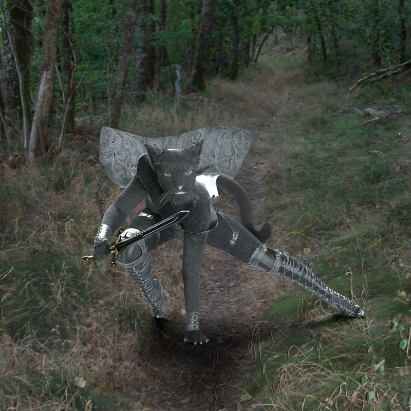 Shinah, Vah Shir Assassin
Here is Shinah a Feline Assassin.
Keywords: Fantasy