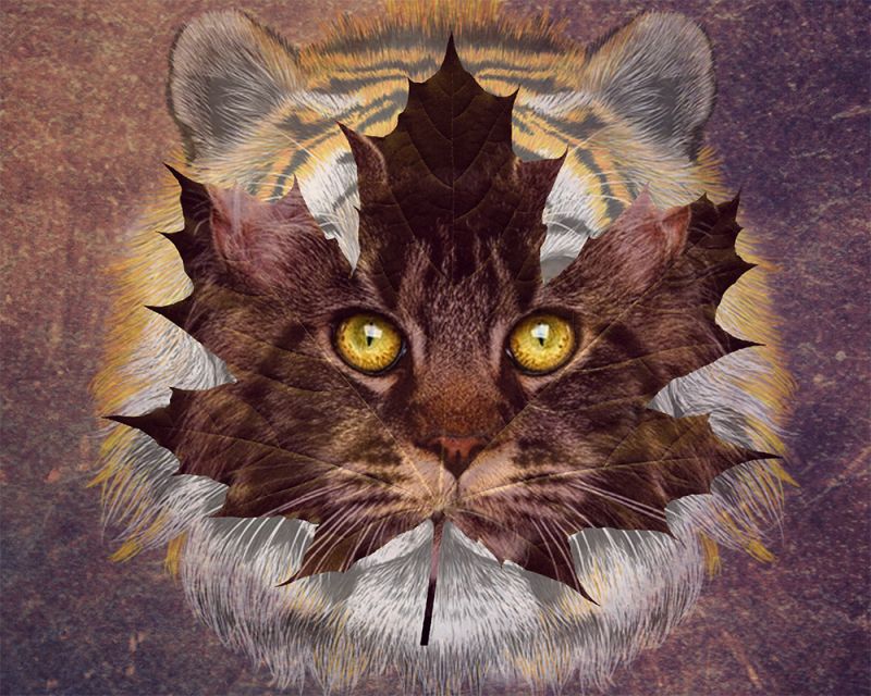 Hybrid
~TOTW Winner Wk of 9/3/22~
thanks for looking.
Keywords: TOTW Winner Wk of 9/3/22