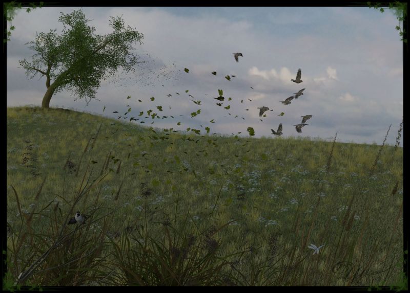 Open Spaces
Another one that started life many years ago as a coloured pencil sketch, that one did get finished but was fun to redo it in 3D.
 
