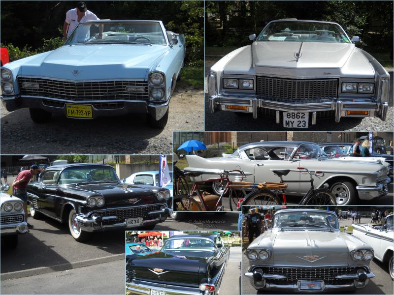 Cadillac
Four Cadillac were between the American cars.
The blue one was there last year, I remember it for its color.
