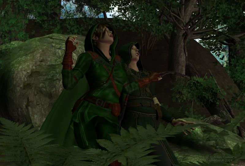 On the road
In the world of Evradhond, there are evil forces gathered in Nulbilnar kingdom. For a very long time, they were contained into their borders, untakeable between their mountains and large dark and dangerous forests. But recently, they have started short attacks on the villages and strong holds around.
Bats and dark birds are once again under their control. The only possibility seen by the Wises is the ennemis have found back the corrupt staff of Alis that everyone though lost forever. And once their leader Ammosh will fully control it, its destructive power will be almost unstopable.

You are the Elf Serielye Tatarie, former ranger between your people, and with your last human companion on the road, you'll try to succeed where all armies have failed. You'll enter in the heart of Nulbinar to destroy the staff.
Your mission depends not of the strengh of your body but of your mind, and also from your natural habilities.

********
Fantasy Ranger for V4, on Xurge3D [I changed colors]
V4 Hooded cloak, on Daz3d
Warlock for M4, on Xurge3D
