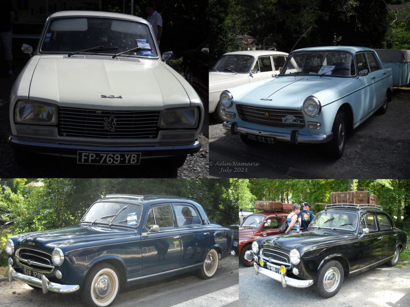 Peugeot
Peugeot, another French brand.
Names of cars are lack of imagination for sure: 304, 403, 404...
