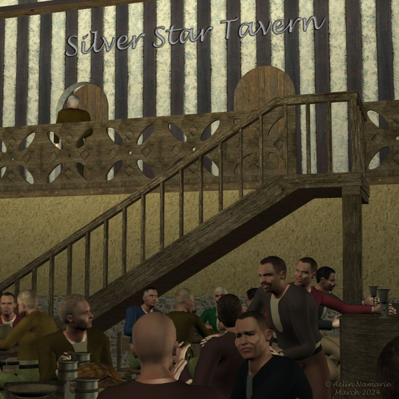 Silver Star Tavern (2)
The views I made to present it are only from the main room. There is a secondary, the kitchen and several others in the rez-de-chaussée. Then the rooms at the floor above.
I imagined the inside of the tavern to be used. The outside isn't as well worked, it was done mainly for scenes before your characters enter into, and to allow 'real' shadows in the streets with the lights you use.

All the guys you are seeing are Lorenzo by Predatron. The clothes, I think are by Dyald.
