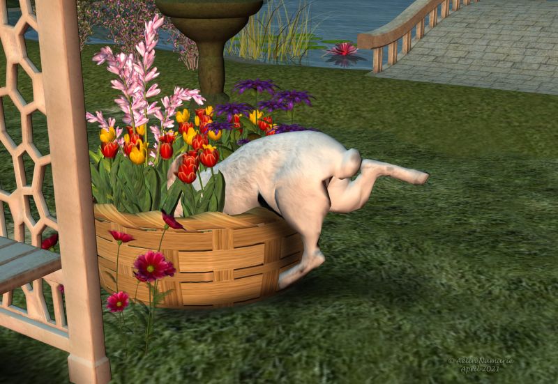 Where did I put this?
Rabbit, by Lyne (on lynescreations)
Tulips, by Lisa Botanicals [were on Hivewire3d, maybe on RMP now]
Arbor Bench, by Luxxeon (on Sharecg)
Sundial, by fringewood
