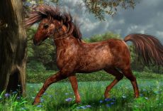 Filename=horseinthewind.jpg
Filesize=964KiB
Dimensions=1689x1150
Date added=Mar 03, 2026 horseinthewind.jpg