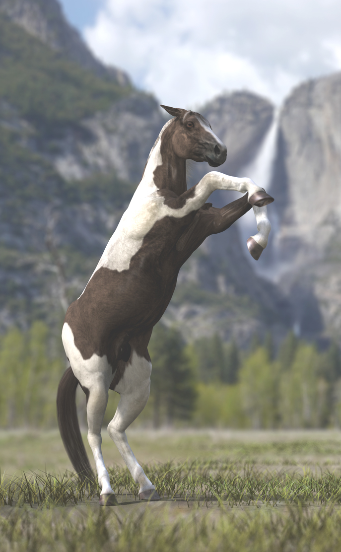 King of the Rockies
Horse rearing up in the wilds.  Uber lighting in 3delight render.
Keywords: Horse rearing up wilds King Rockies