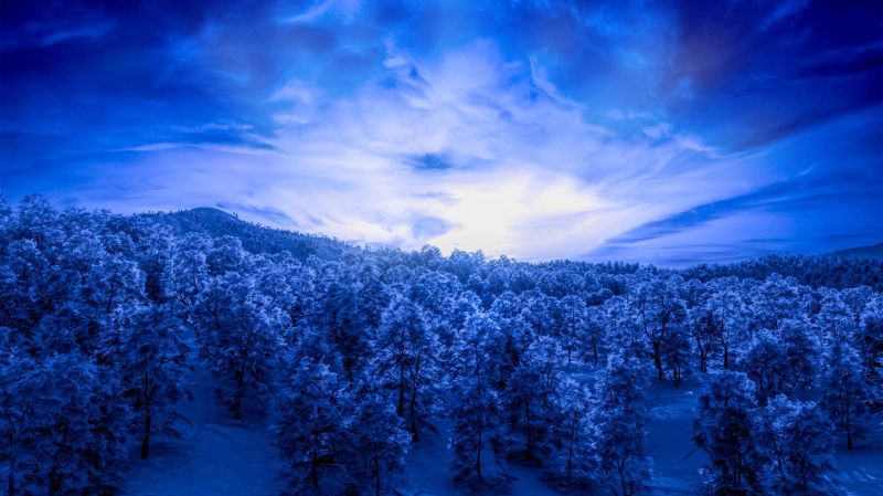 Dawn of a New Day
Background Art: Learning more about dodging and burning pictures, and how to be stuttle and make it less obvious that it was done in Photoshop or Lightroom. 
Keywords: Background Art Forest landscape 