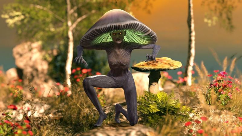 Definitely not a Fungi...
