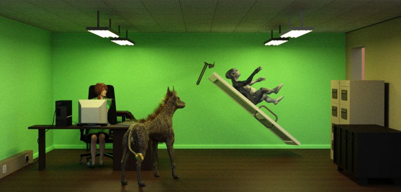 The annual check-up
It's the same every time... Carnage hates her vet...
