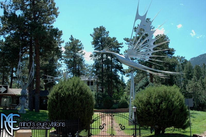 Bird in Flight (Hump Day)
enjoy the hump and thanks for your visit today.


this photo was taken in Aug of 2004 in Cheyenne canyon rd in my city. the metal creations were made by a designed who committed suicide a few ers before i took this, the yard is/was full of multiple designs. most have been bought by the city for use in the downtown area and other displays.. i have several other captures of his yard art. a couple of years ago before he took his life someone i knew was visiting from another state w
