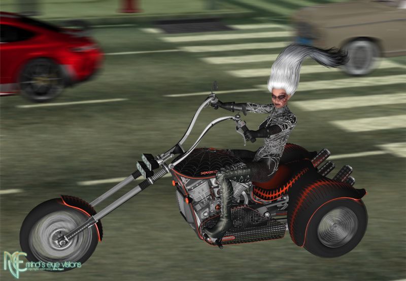 Looking for Adventure (TGIF)
Enjoy the weekend all. 
