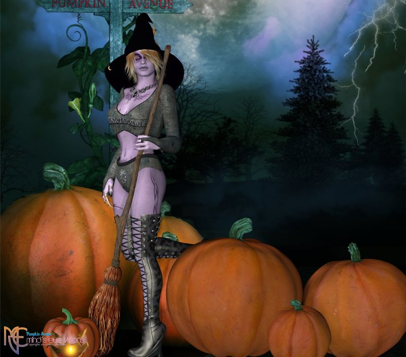 Pumpkin 🎃 Avenue 
