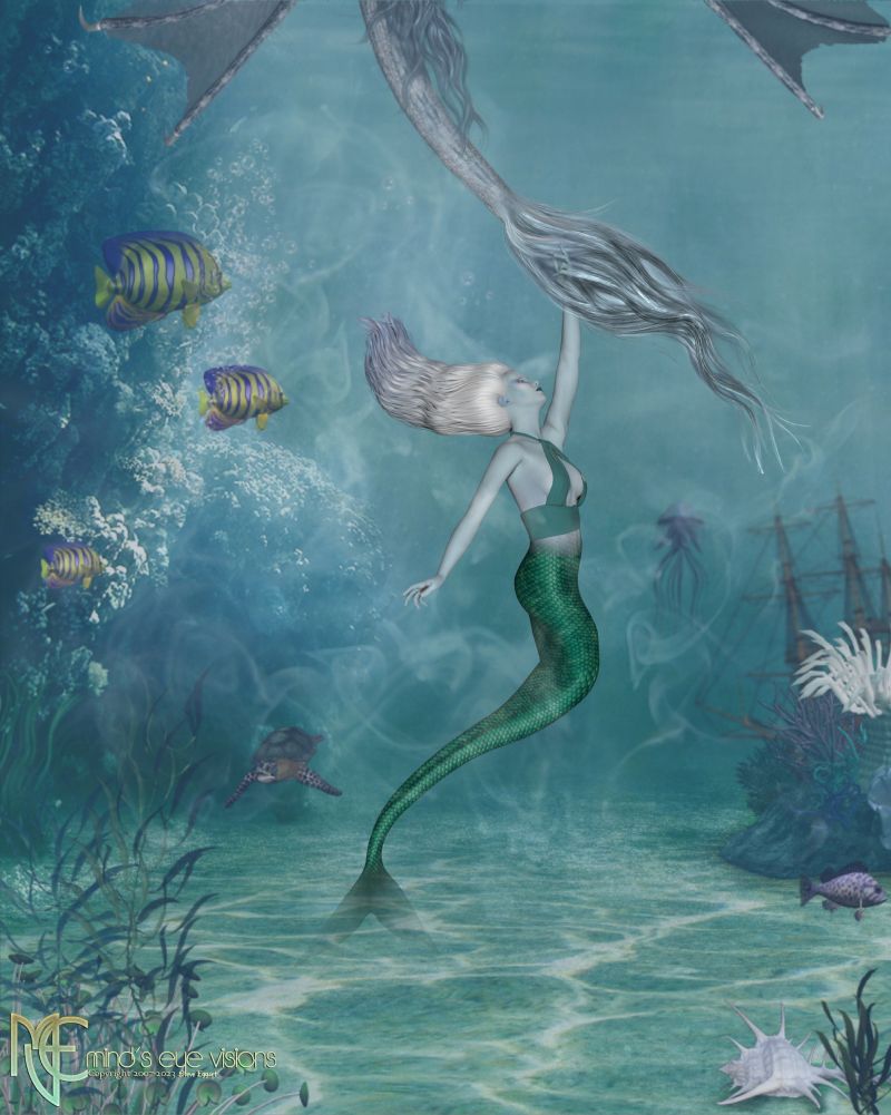 Sea Wonders (MLK Day)
Thanks for your visit. 
