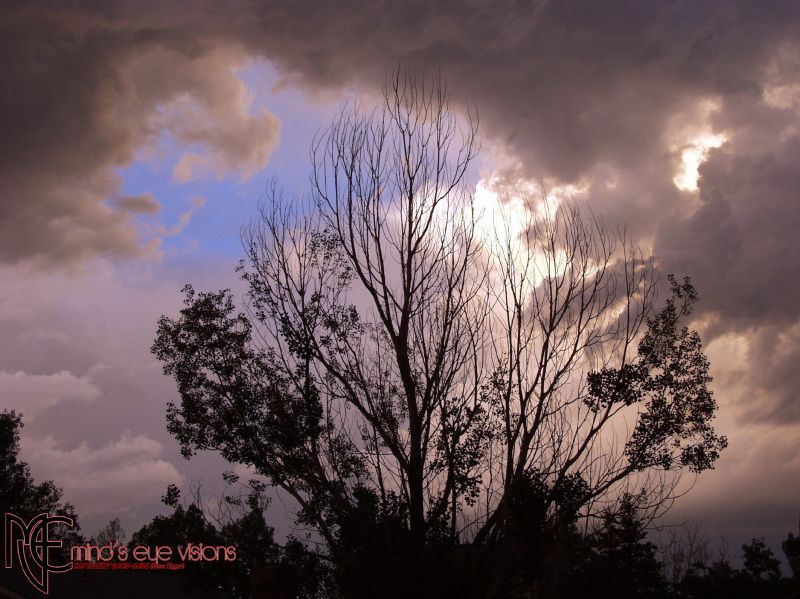 Twiggy
thanks for your visit today. 
