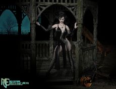 Filename=Night_of_the_Vampire_2025.jpg
Filesize=603KiB
Dimensions=2450x1877
Date added=Oct 31, 2025 Night_of_the_Vampire_2025.jpg