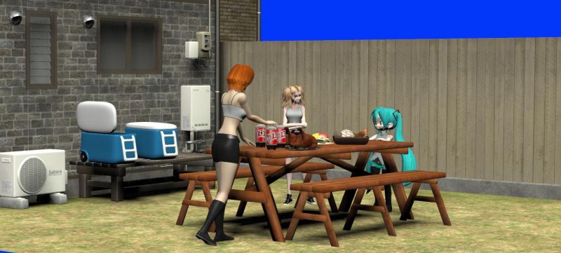 Getting ready to party
Suzie, Nonie and Miku are still working on the party prep.  A little late, but are still hoping to have it all ready in time.
