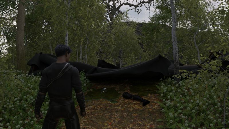 Where Is Olivia? - SAOTW winner 12/14/24
Celduin returned to his camp the next morning to find his battle tent collapsed, its contents spread in front of the remains of the tent and many pools of stinking slime.

Foremost in his mind however was the question "Where is Olivia?"

One of the boots she had been wearing was near the tent's former entrance.  A thorough search had turned up no further indications as to her fate.  The steady overnight rain has erased any evidence of what had happened other than the slime.  
