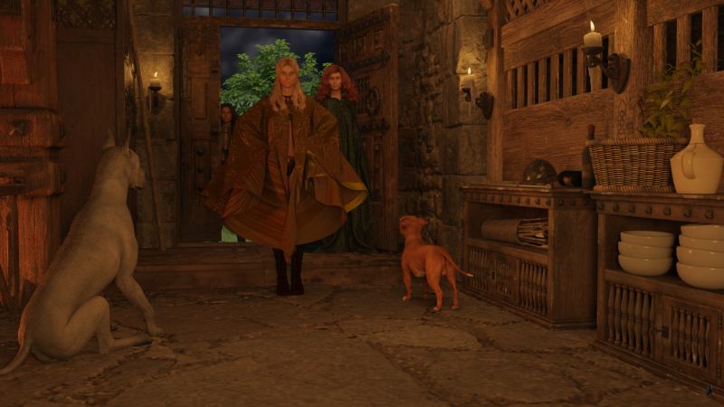 Ryanne Enters the Inn
Ryanne pulled open the door, strode in, and stopped with her hands on her hips, looking straight at the Innkeeper.

The Inn's Great Dane sat immediately and looked at her expectantly.  The other house dog was walking towards Ryanne, wagging its tail.  When Ceridwyn crossed the threshold,  he froze staring at the redhead.

Alys hung back, fully expecting an explosion from the Innkeeper at the sight of her.

Next image is [url=https://www.thefantasiesattic.net/attic/cpg/displayimage.php?pid=42528]here.[/url] Previous image is [url=https://www.thefantasiesattic.net/attic/cpg/displayimage.php?pid=42522]there.[/url]

Story starts at [url=https://www.thefantasiesattic.net/attic/cpg/displayimage.php?pid=42512]this image.[/url]
