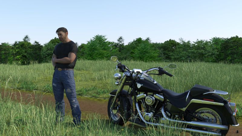 Early Morning on St. Patrick's day
Mike took his now traditional ride to the field where he had met the pixies.  It appeared to be completely empty.
