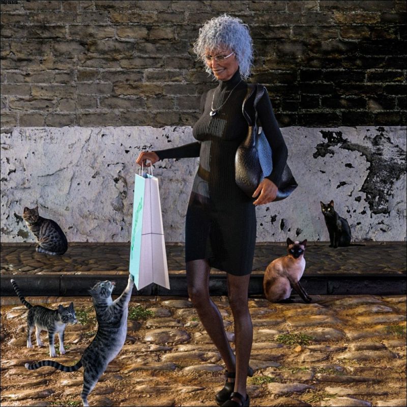 Miss Mabel and the cats
Miss Mabel can't look at the wild cats starving in the street, so she often brings them food.
