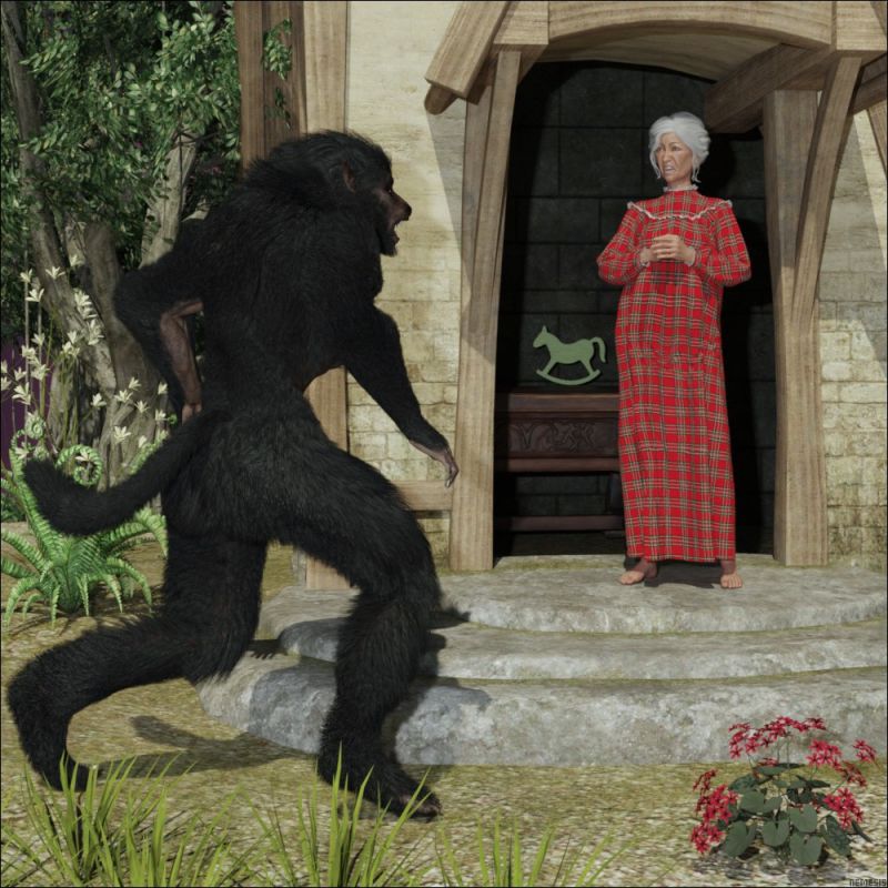 The big bad wolf goes to the granny's home
