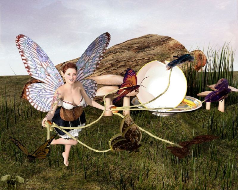 Butterfly walker
Julianna always makes sure all the butterflies in her neighbourhood get their daily exercise
