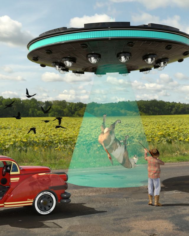 Danged Alien Rustlers
Al the ranchers cows had been disappearing, so he decided to stake out his field to catch the cattle rustlers in the act.   he wasnt too surprised that It was those danged aliens again. This time he's stop them.

The freebies used  in this picture are the Rdna Greyling Ufo on the daz3d.com webpage when i first got the program, Lynes bovines from Renderosity, Lo rez crows by Predatron on daz3d.com, and the corn field hdri located on Hdrihaven.com
