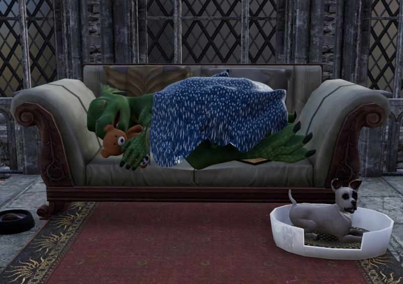 Dozing Dragon - FA winner 08/28/21
A little dragon is tired after a hard day at dragon school, so he is taking a short nap on the couch with his pal
