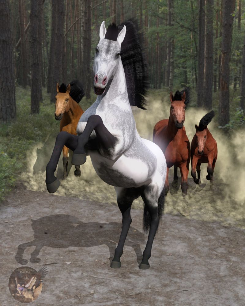 Forest Run
A small herd of wild horses enjoying running through the forest when there are no humans around.

