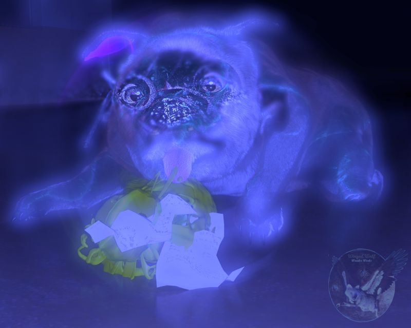 My dog slimed my homework
"Stop making excuses Timmy. Where is your Math Homework?" Miss Tuttle said across her desk.
" I told you, my ghost dog Mister Drooly slimed it, and I can prove it." Timmy Whistled and a fat glowing dog waddled into class through the wall. Mister Drooly walked over to Timmy, spat out three pages of slimy homework and began happily drooling green ectoplasm on the floor. "Here is my homework" said Timmy, But Miss Tuttle had already fainted from seeing a ghost.
