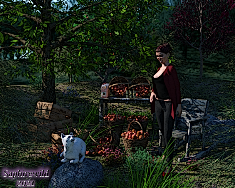 Apple Harvest Time
Lura loved selling her apples but her cat Spanky had other ideas.
Keywords: Cats Apples Nature