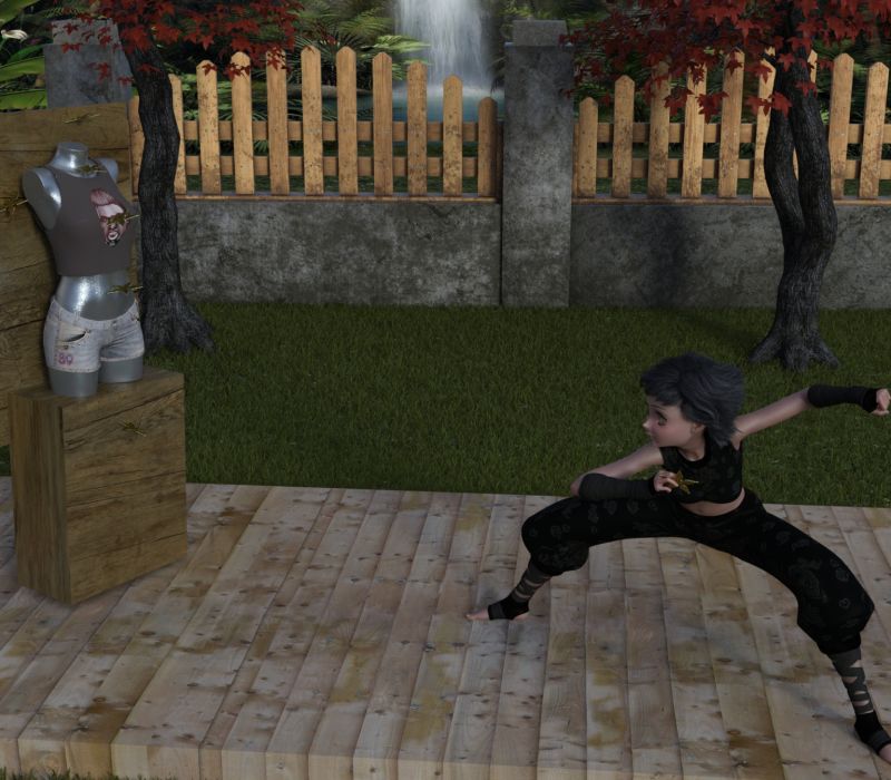 Star Work
Catching a star ... difficult and dangerous
Throwing a Star ... not to difficult
Accurately hitting the mark ... requires practice, practice and practice
