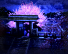Sakura_6.png